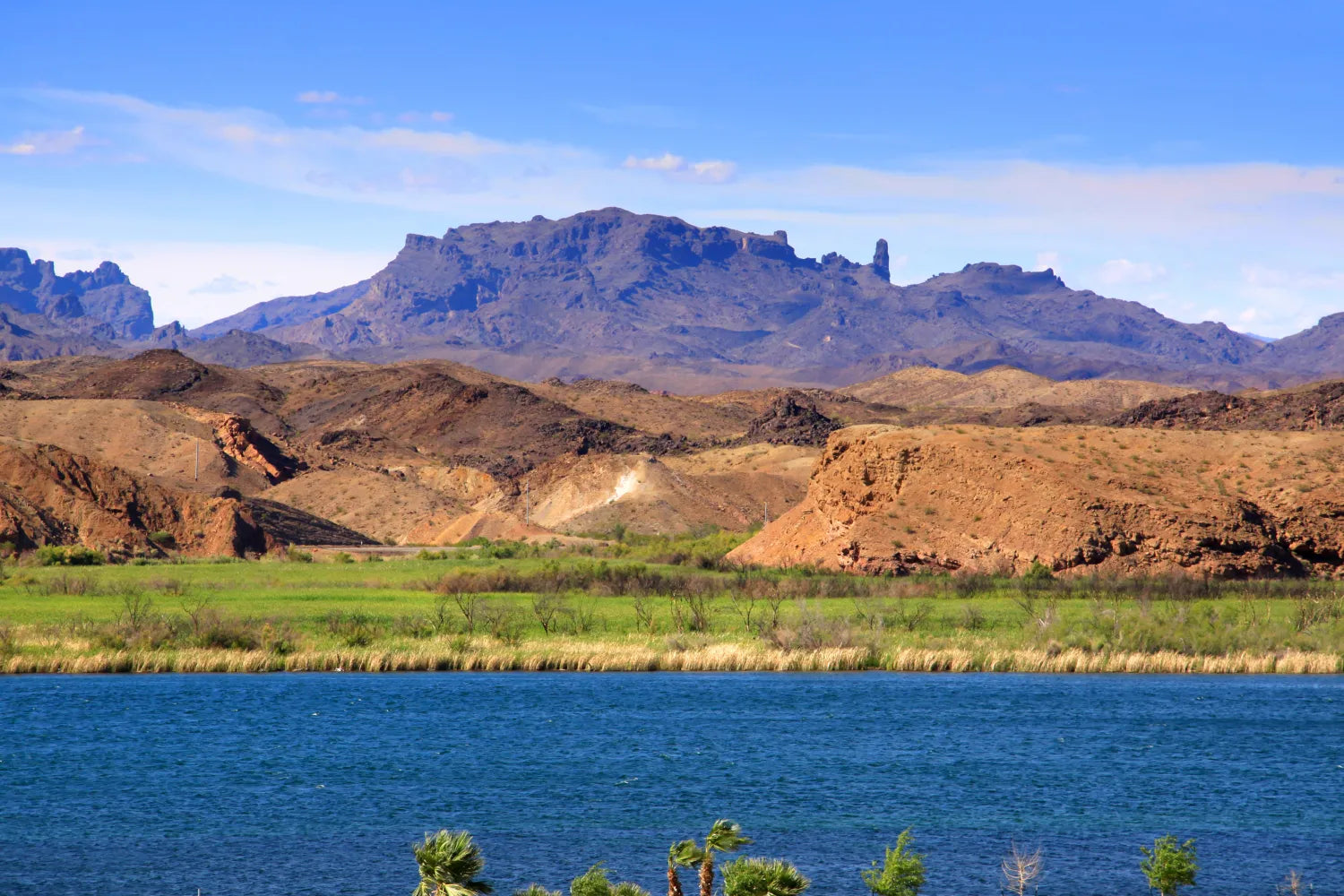 Things To Do in Lake Havasu This Summer