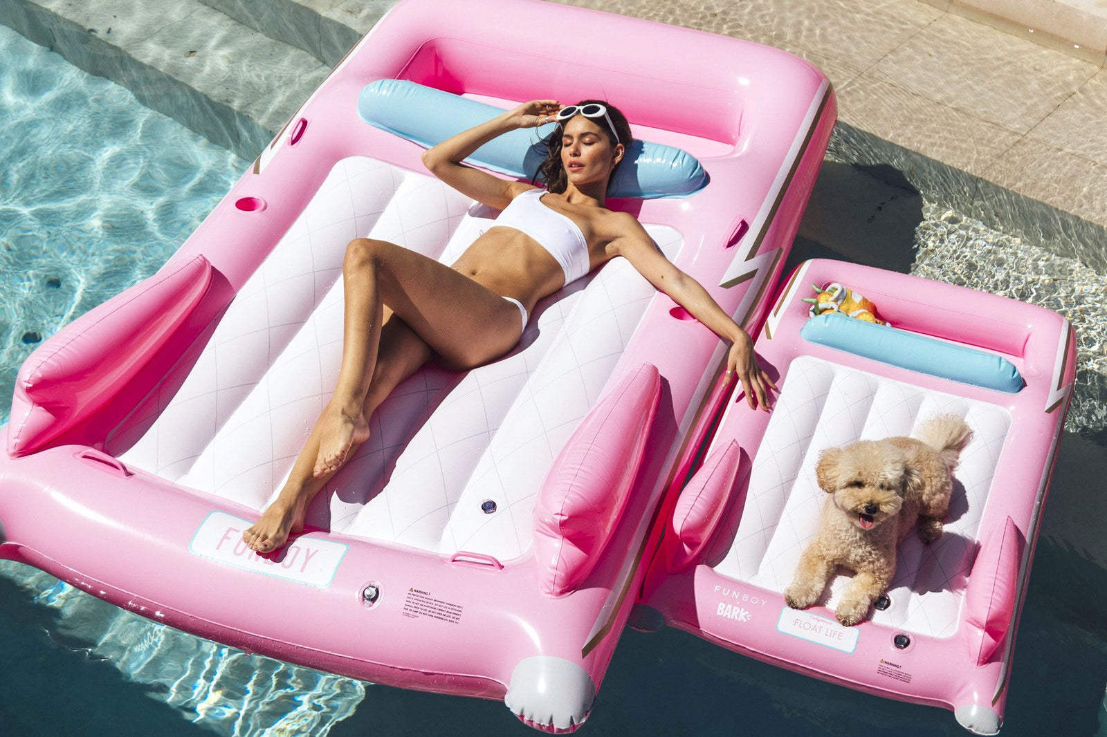 Pet-Friendly Hotels: Bringing Your Pets on Vacation