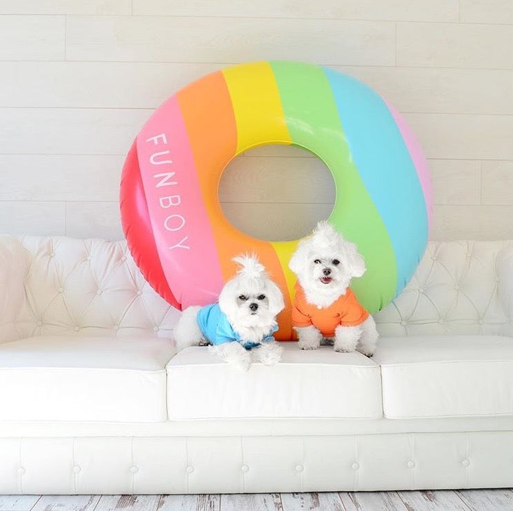 10 Adorable Dogs Whose Float (And Insta) Game is Better Than Yours