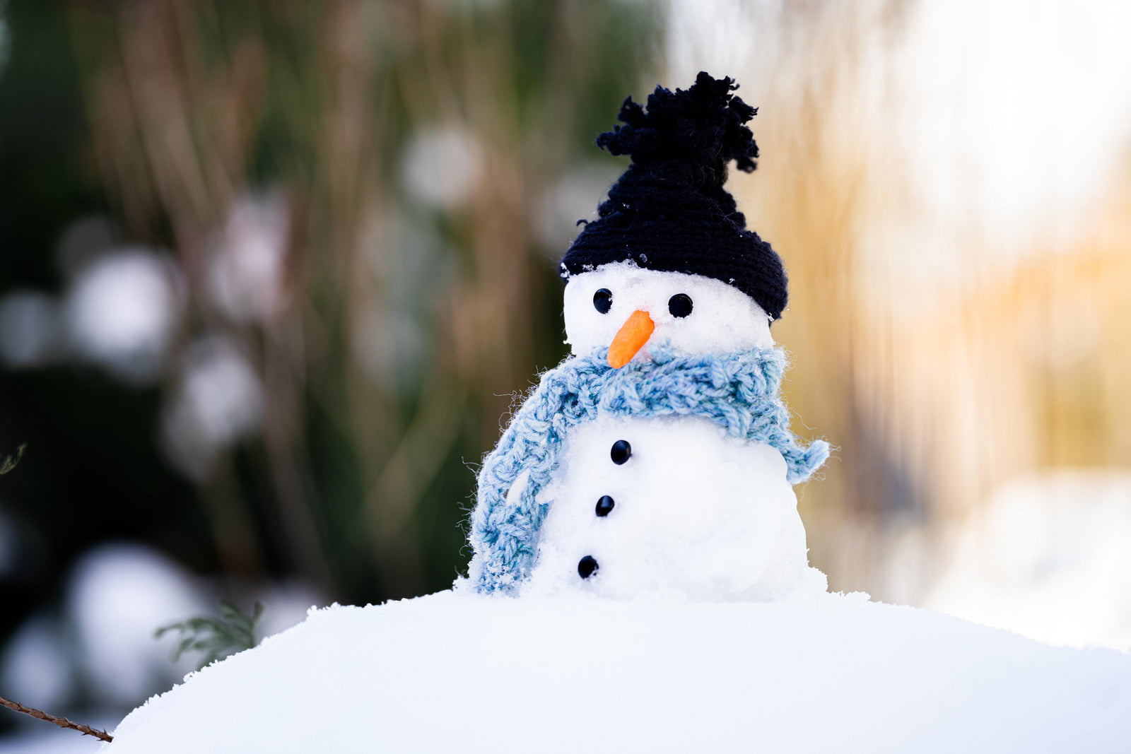 12 Frosty Facts About Snowmen