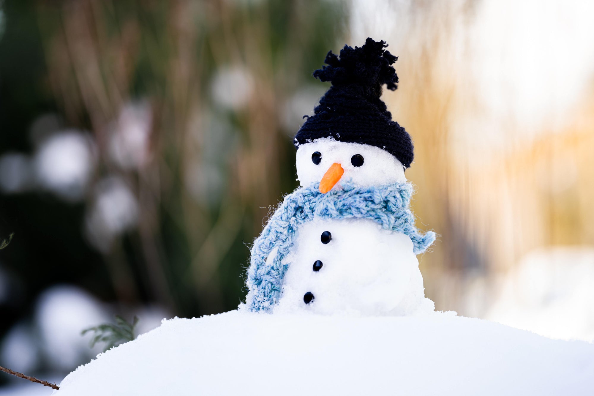 6 Easy Steps On How To Build a Snowman