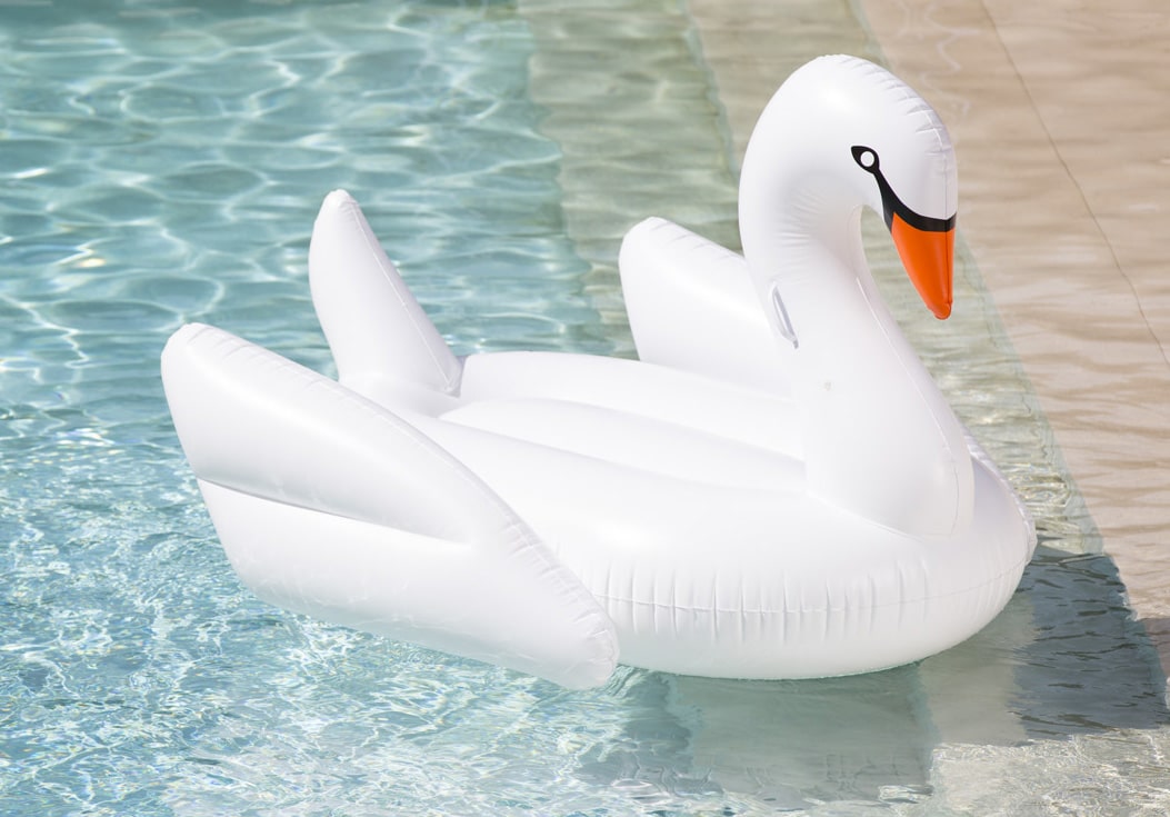 The Swan Pool Floats