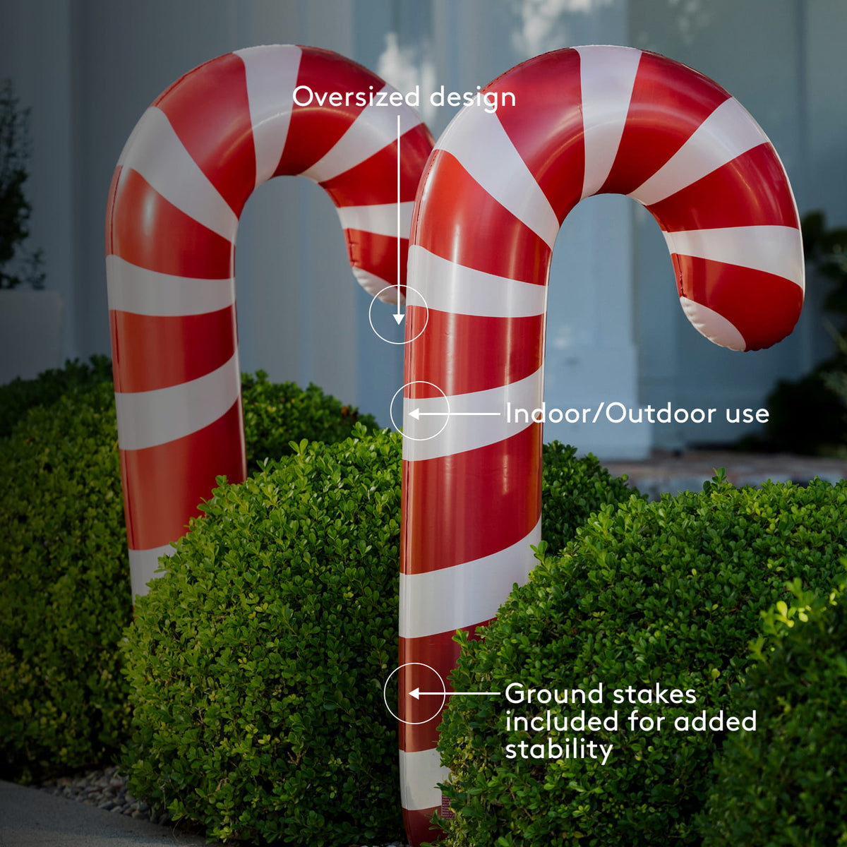 Candy Cane
