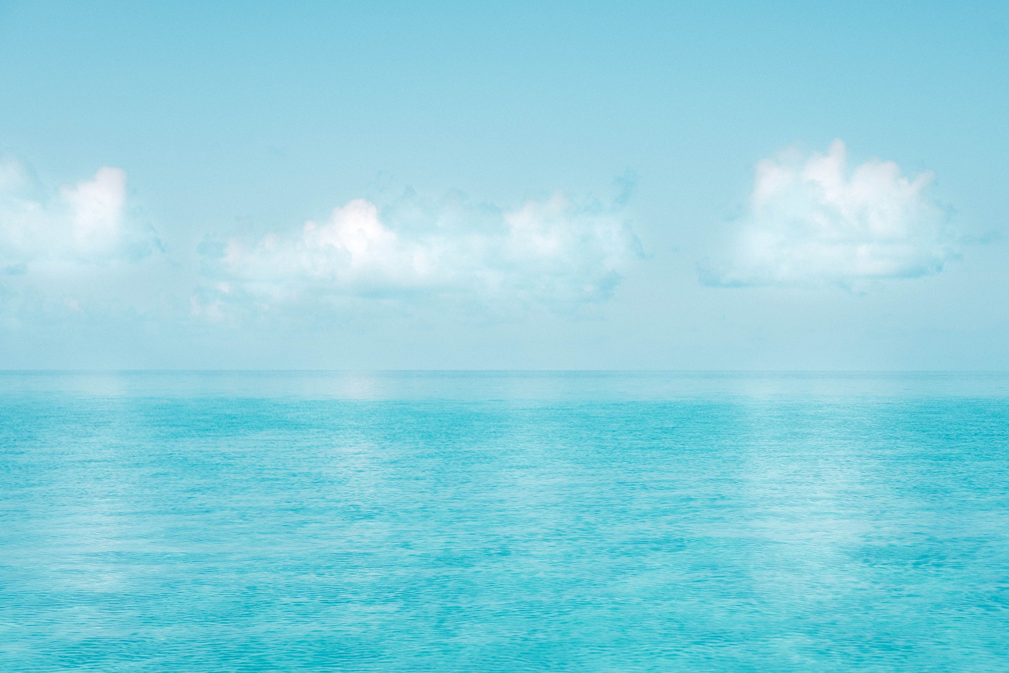 FUNBOY Review Section