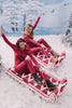 sled video