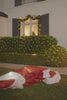 Santa video