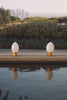 Bulb Video