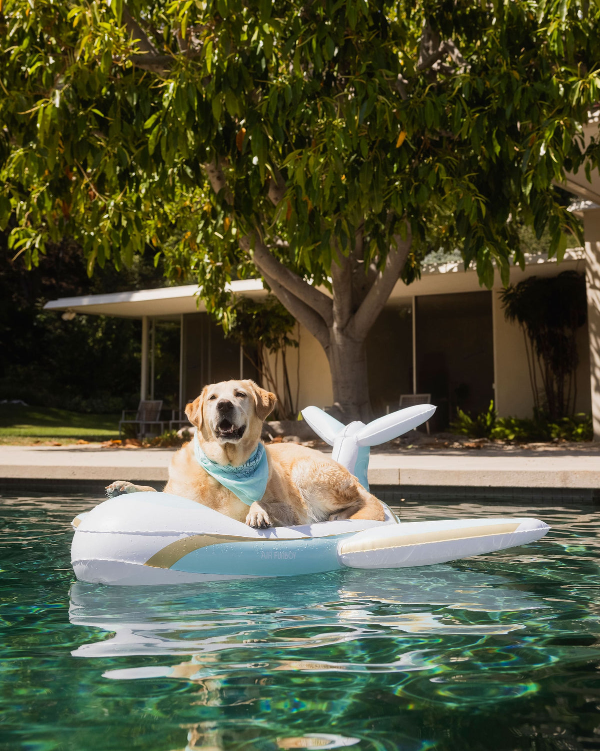 Dog Pool Float, Private Jet Plane - FUNBOY