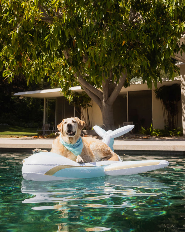 Dog Pool Float, Private Jet Plane FUNBOY1