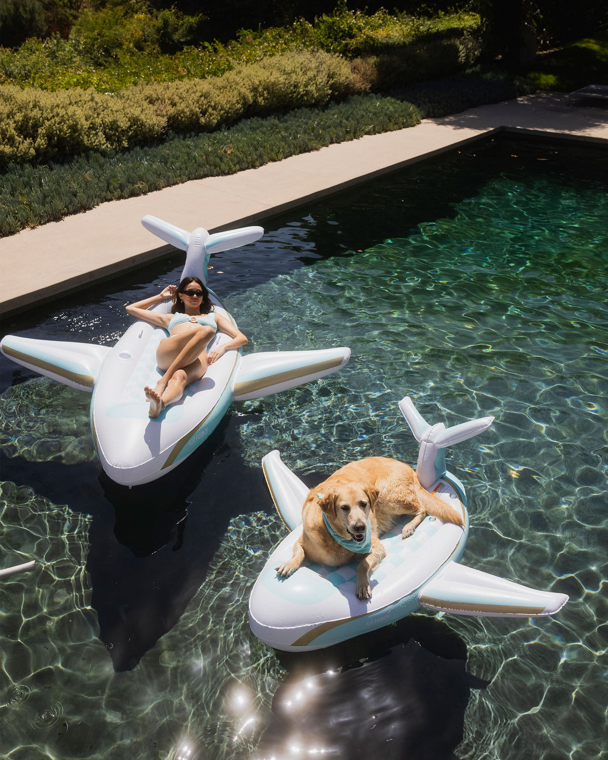 Jet Plane Pool Dog Pool Float, Private Jet Plane - FUNBOY