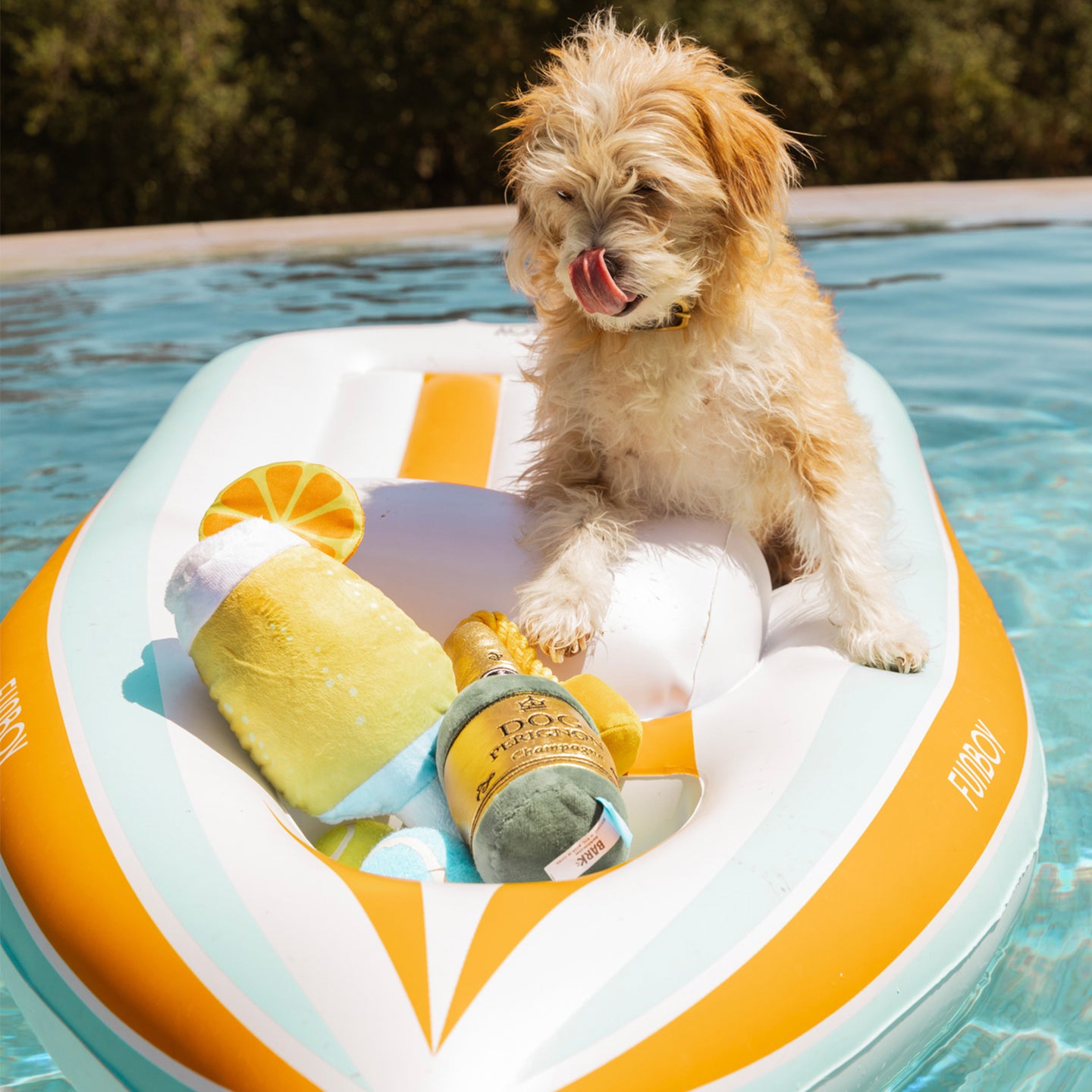 Dog Pool Float Yacht Boat - FUNBOY