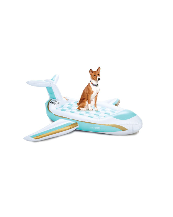 Dog Pool Float, Private Jet Plane FUNBOY